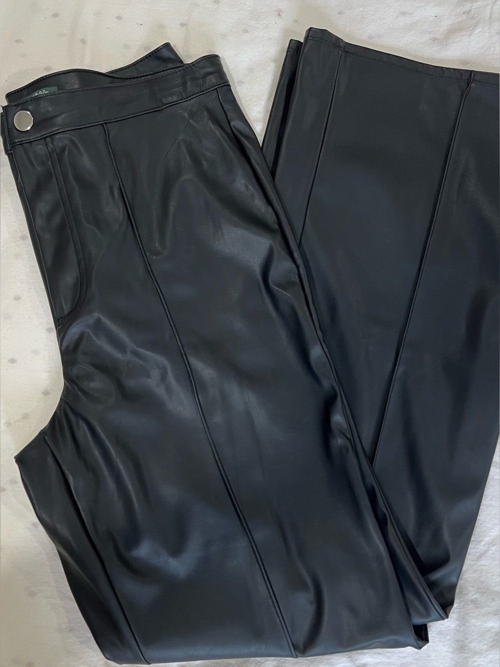 Wild fable Black Faux Leather Pants